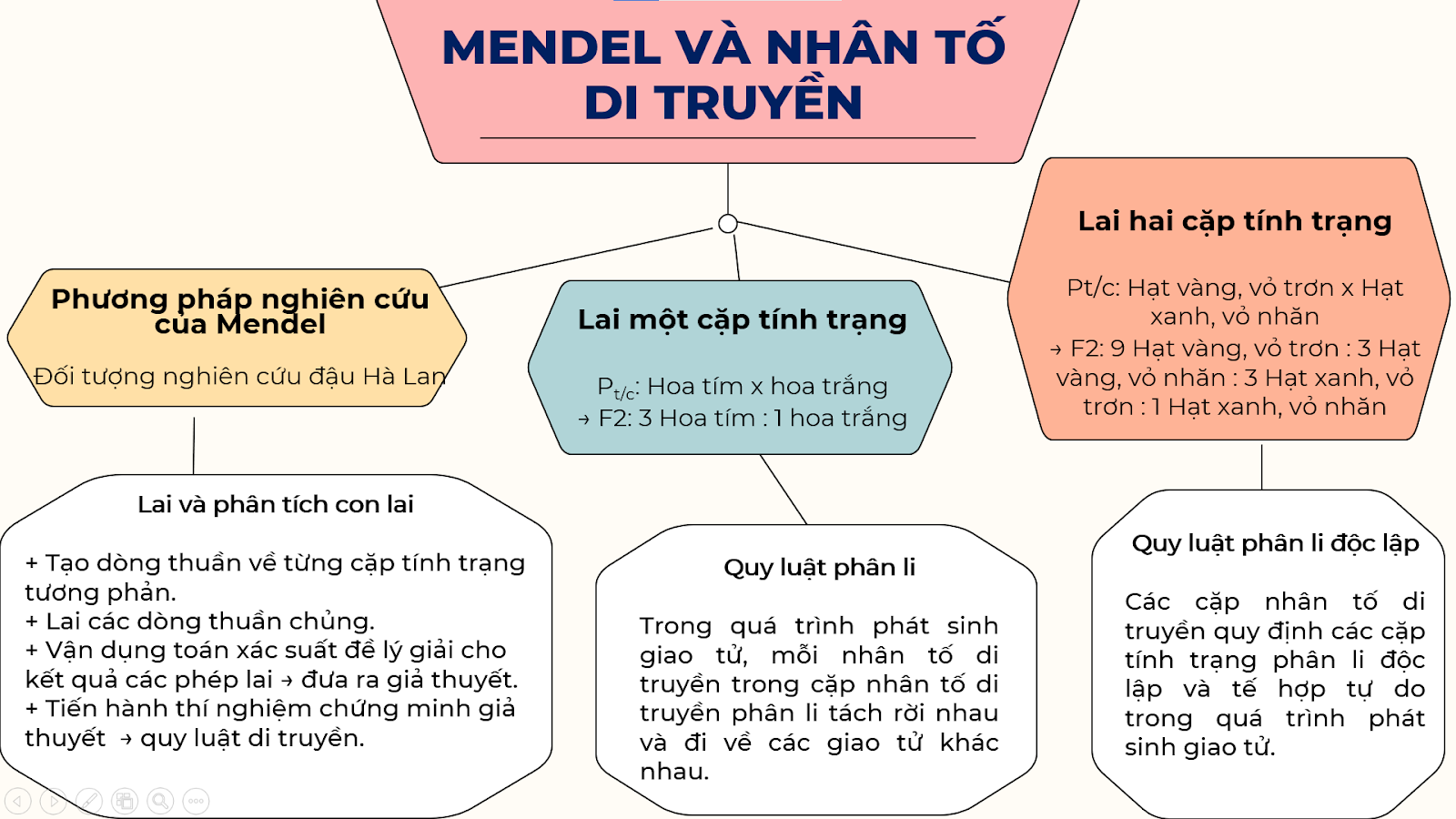 CHỦ ĐỀ 11: DI TRUYỀNÔN TẬP CHỦ ĐỀ 11