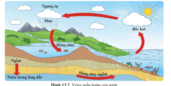 CHỦ ĐỀ 5: NĂNG LƯỢNG VỚI CUỘC SỐNGBÀI 13: SỬ DỤNG NĂNG LƯỢNG