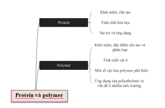 CHỦ ĐỀ 9: LIPID – CARBOHYDRATE – PROTEIN - POLYMERBÀI TẬP CHỦ ĐỀ 9