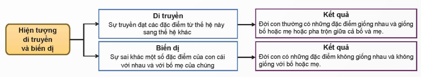 CHỦ ĐỀ 11: DI TRUYỀNÔN TẬP CHỦ ĐỀ 11