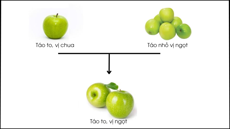 CHỦ ĐỀ 11: DI TRUYỀN