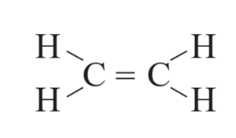 CHỦ ĐỀ 7: HỢP CHẤT HỮU CƠ.HYDROCARBON VÀ NGUỒN NHIÊN LIỆUBÀI 19. GIỚI THIỆU VỀ HỢP CHẤT HỮU CƠ