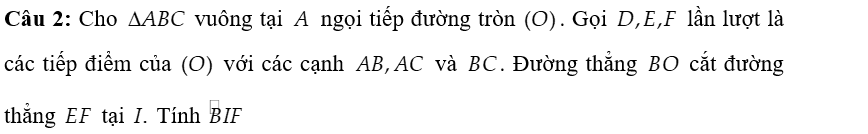 4. VẬN DỤNG CAO (2 câu)