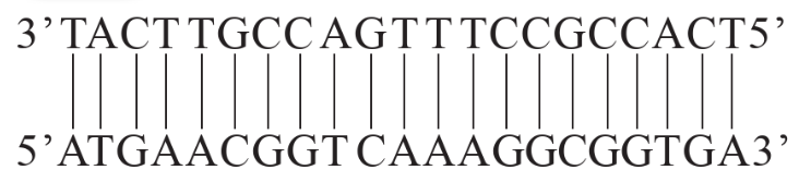 Tech12h