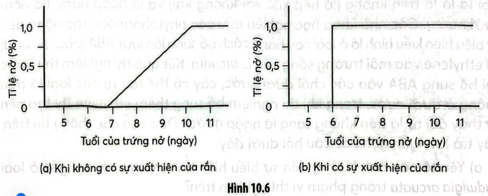 HƯỚNG DẪN CHẤM KIỂM TRA HỌC KÌ 1 (2024 – 2025)