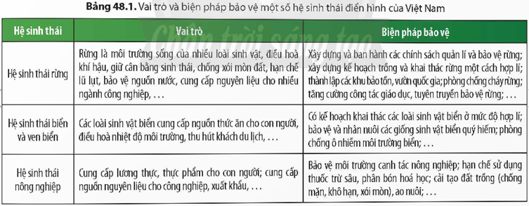 4. TẦM QUAN TRỌNG CỦA BẢO VỆ MỘT SỐ HỆ SINH THÁI ĐIỂN HÌNH CỦA VIỆT NAM