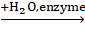 Tech12h