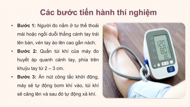 Soạn giáo án điện tử sinh học 11 CTST Bài 11: Thực hành: Tìm hiểu hoạt động của hệ tuần hoàn