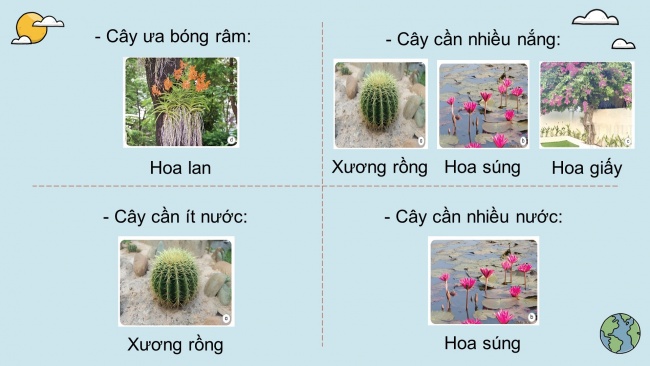 Soạn giáo án điện tử khoa học 4 KNTT Bài 17: Chăm sóc cây trồng, vật nuôi