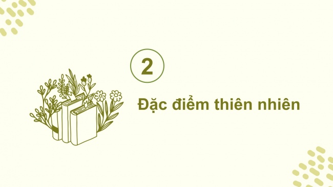 Soạn giáo án điện tử lịch sử và địa lí 4 CTST Bài 19: Thiên nhiên vùng Tây Nguyên