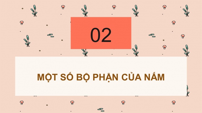 Soạn giáo án điện tử khoa học 4 CTST Bài 19: Sự đa dạng của nấm