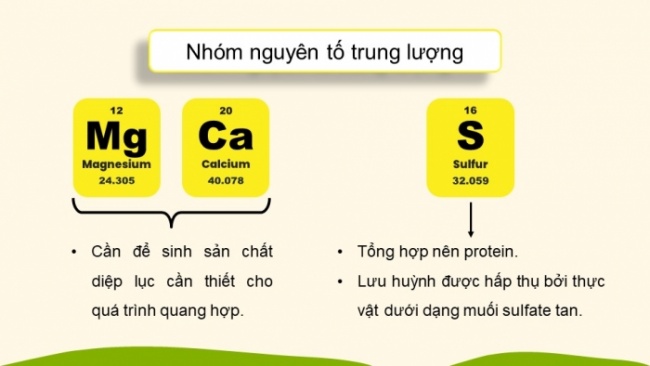 Soạn giáo án điện tử KHTN 8 KNTT Bài 12: Phân bón hoá học