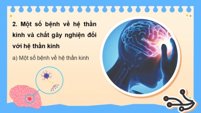 Soạn giáo án điện tử KHTN 8 KNTT Bài 37: Hệ thần kinh và các giác quan ở người