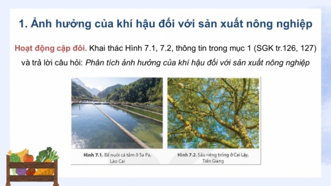 Soạn giáo án điện tử Địa lí 8 KNTT Bài 7: Vai trò của tài nguyên khí hậu và tài nguyên nước đối với sự phát triển kinh tế - xã hội của nước ta