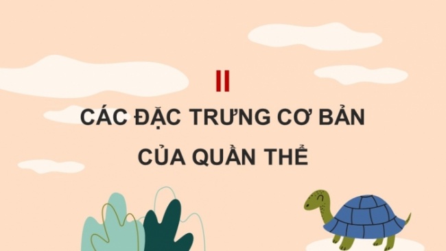 Soạn giáo án điện tử KHTN 8 KNTT Bài 42: Quần thể sinh vật