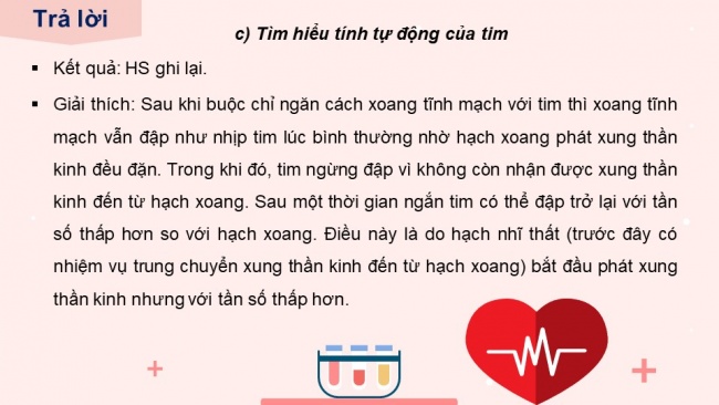 Soạn giáo án điện tử sinh học 11 KNTT Bài 11: Thực hành - Một số thí nghiệm về hệ tuần hoàn