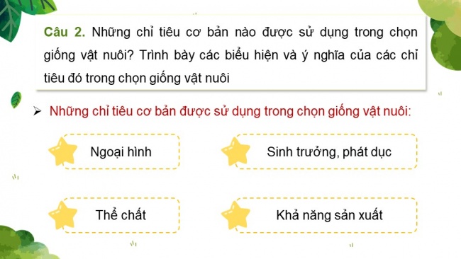 Soạn giáo án điện tử công nghệ chăn nuôi 11 KNTT: Ôn tập chương 2