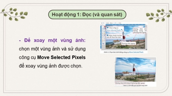 Soạn giáo án điện tử Tin học 8 CTST Bài 10B: Xoay, cắt, thêm chữ vào ảnh