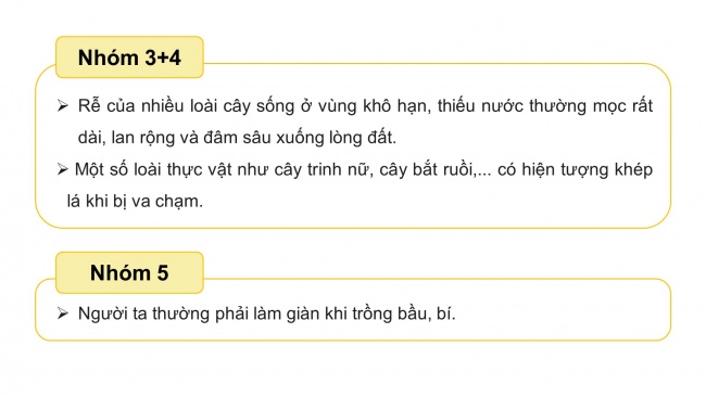 Soạn giáo án điện tử sinh học 11 CTST Bài 16: Thực hành: Cảm ứng ở thực vật