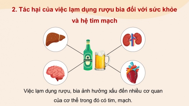 Soạn giáo án điện tử sinh học 11 Cánh diều  Bài 8: Hệ tuần hoàn ở động vật (P2)