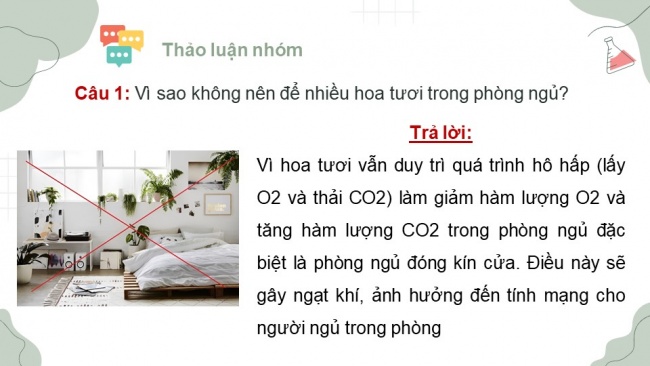 Soạn giáo án điện tử sinh học 11 Cánh diều Ôn tập chủ đề 1