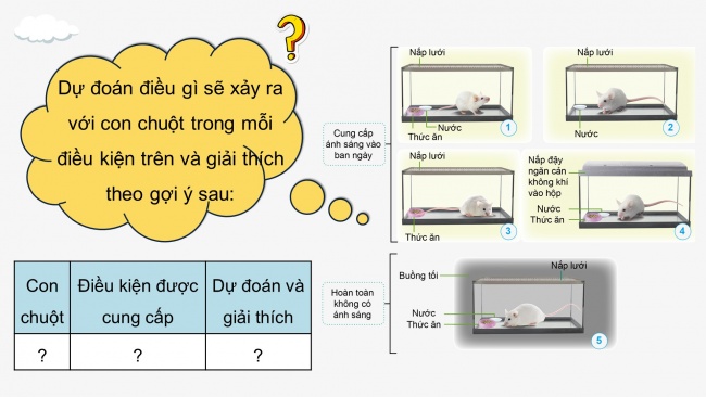 Soạn giáo án điện tử khoa học 4 cánh diều Bài 14: Nhu cầu sống của động vật và chăm sóc vật nuôi (P1)