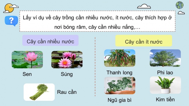 Soạn giáo án điện tử khoa học 4 KNTT Bài 17: Chăm sóc cây trồng, vật nuôi