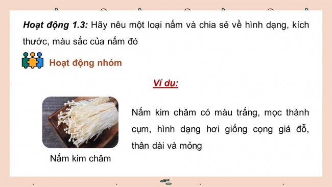 Soạn giáo án điện tử khoa học 4 KNTT Bài 19: Đặc điểm chung của nấm