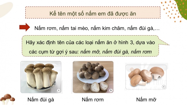 Soạn giáo án điện tử khoa học 4 KNTT Bài 20: Nấm ăn và nấm trong chế biến thực phẩm