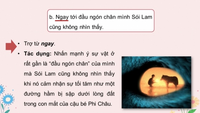 Soạn giáo án điện tử Ngữ văn 8 KNTT Bài 6 TH tiếng Việt: Trợ từ