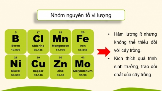 Soạn giáo án điện tử KHTN 8 KNTT Bài 12: Phân bón hoá học