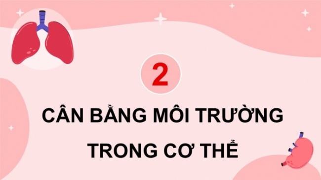 Soạn giáo án điện tử KHTN 8 KNTT Bài 36: Điều hòa môi trường trong của cơ thể người