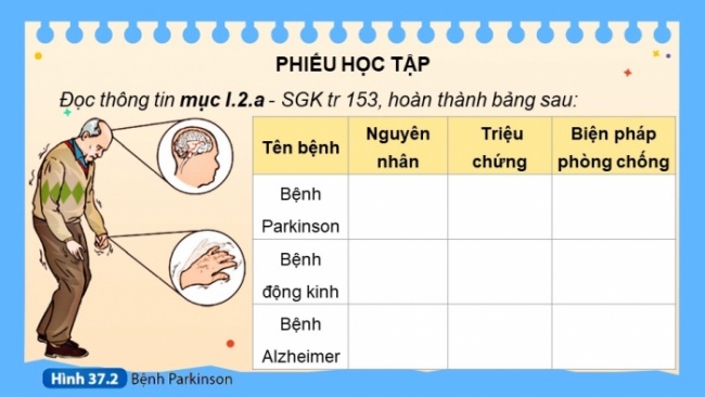 Soạn giáo án điện tử KHTN 8 KNTT Bài 37: Hệ thần kinh và các giác quan ở người