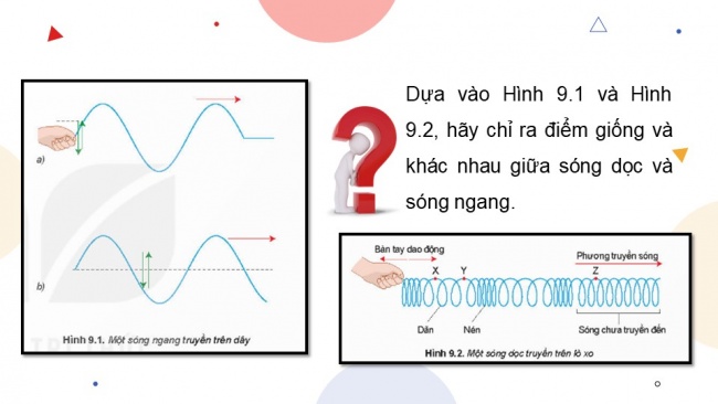 Soạn giáo án điện tử vật lí 11 KNTT Bài 9: Sóng ngang. Sóng dọc. Sự truyền năng lượng của sóng cơ