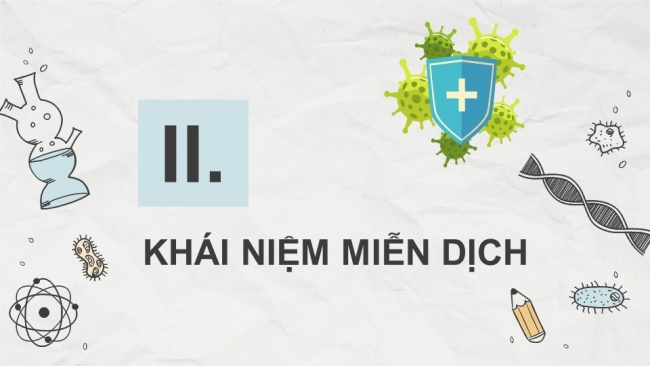 Soạn giáo án điện tử sinh học 11 KNTT Bài 12: Miễn dịch ở người và động vật