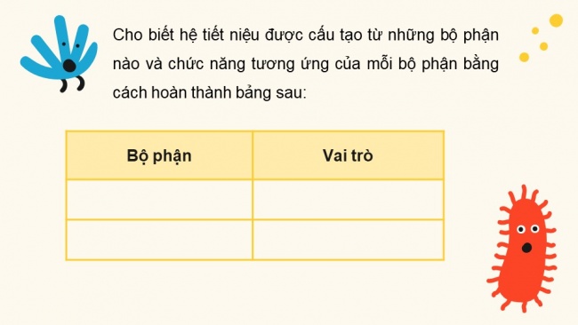 Soạn giáo án điện tử sinh học 11 KNTT Bài 13: Bài tiết và cân bằng nội môi