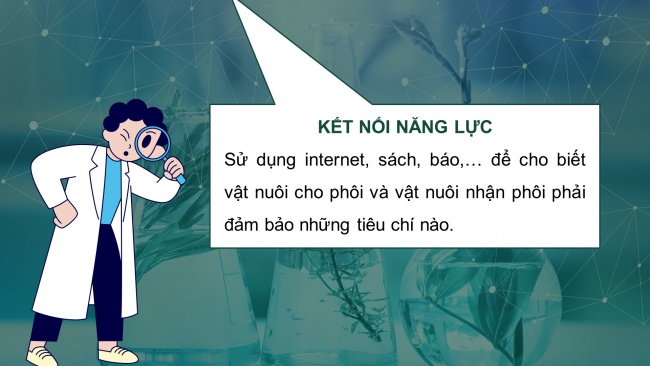 Soạn giáo án điện tử công nghệ chăn nuôi 11 KNTT Bài 6: Ứng dụng công nghệ sinh học trong chọn và nhân giống vật nuôi