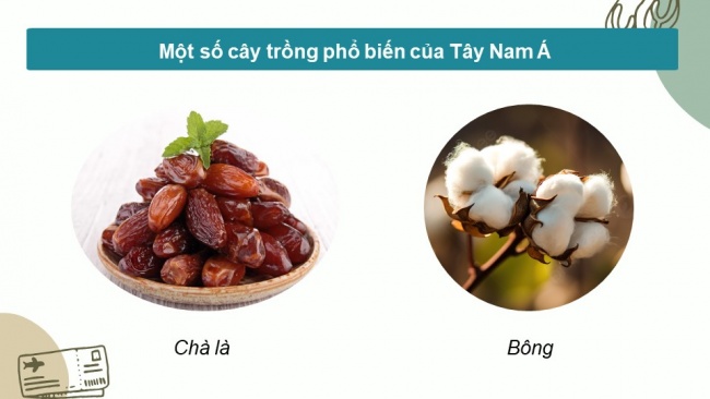Soạn giáo án điện tử địa lí 11 CTST  Bài 15: Tự nhiên, dân cư, xã hội và kinh tế Tây Á (P2)