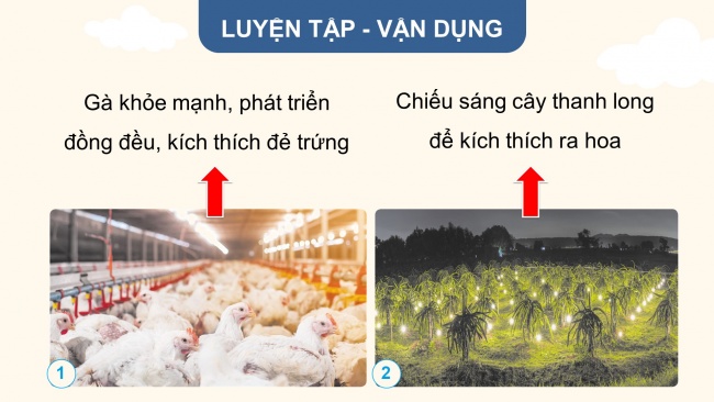 Soạn giáo án điện tử khoa học 4 cánh diều Bài 8: Ánh sáng trong đời sống