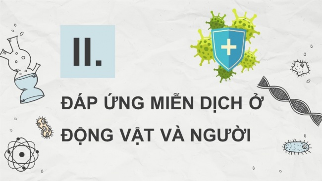 Soạn giáo án điện tử sinh học 11 CTST Bài 12: Miễn dịch ở động vật và người