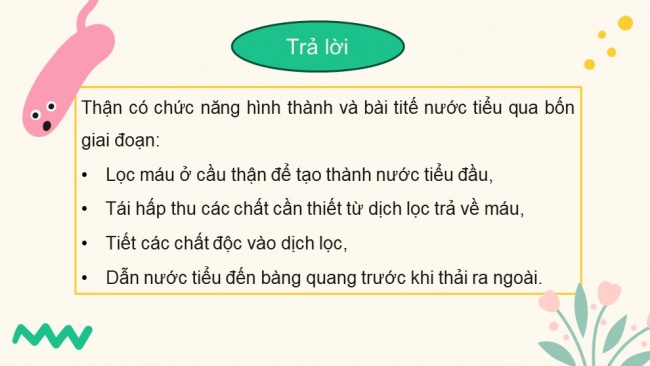 Soạn giáo án điện tử sinh học 11 CTST Bài 13: Bài tiết và cân bằng nội môi