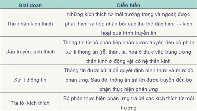 Soạn giáo án điện tử sinh học 11 CTST Bài 14: Khái quát về cảm ứng ở sinh vật