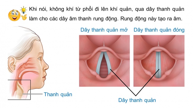 Soạn giáo án điện tử khoa học 4 cánh diều Bài 9: Sự lan truyền âm thanh