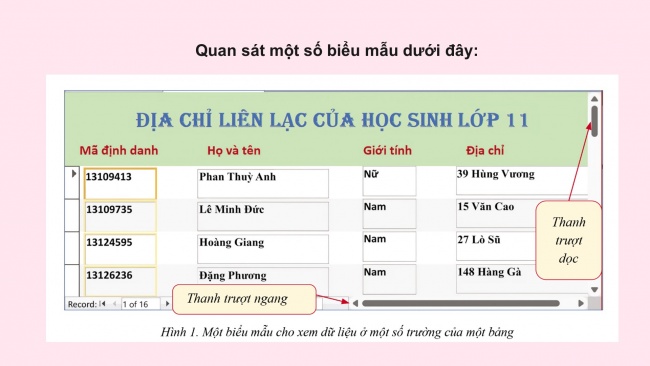 Soạn giáo án điện tử tin học ứng dụng 11 Cánh diều đề F bài 4: Các biểu mẫu cho xem và cập nhật dữ liệu