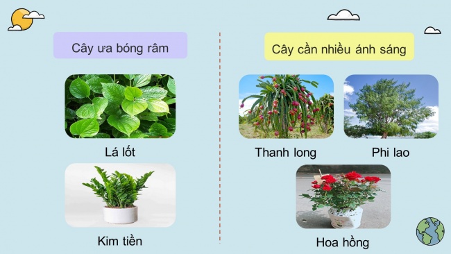 Soạn giáo án điện tử khoa học 4 KNTT Bài 17: Chăm sóc cây trồng, vật nuôi