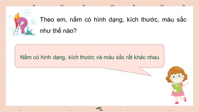 Soạn giáo án điện tử khoa học 4 KNTT Bài 19: Đặc điểm chung của nấm