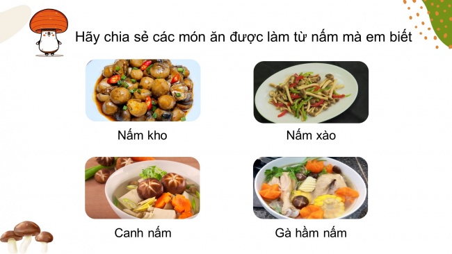 Soạn giáo án điện tử khoa học 4 KNTT Bài 20: Nấm ăn và nấm trong chế biến thực phẩm