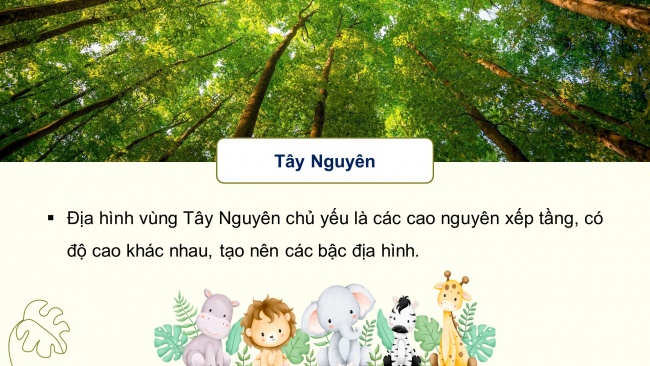 Soạn giáo án điện tử lịch sử và địa lí 4 CTST Bài 19: Thiên nhiên vùng Tây Nguyên