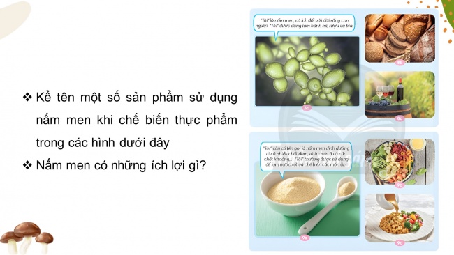 Soạn giáo án điện tử khoa học 4 CTST Bài 20: Nấm ăn và nấm men trong đời sống