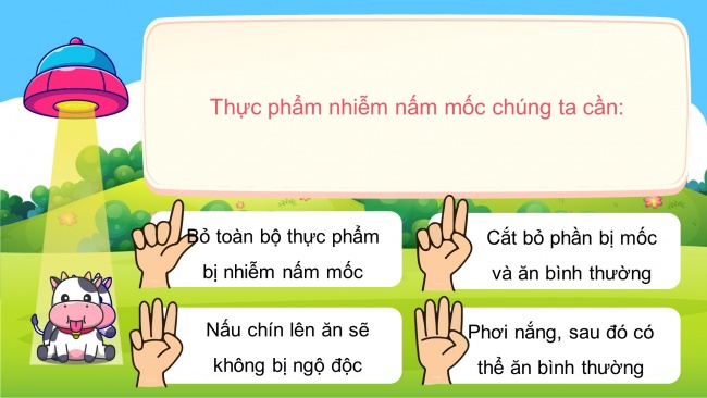 Soạn giáo án điện tử khoa học 4 CTST Bài 22: Ôn tập chủ đề Nấm